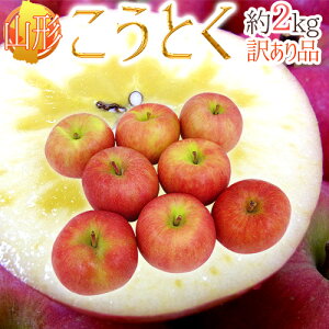 炯 hR`Y Ƃij񂲁h  󂠂 2kg 傫܂y\ 11ȍ~z 
