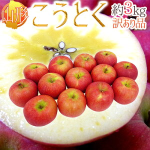 y9/18ISz|CgobN̑`Xz炯 hR`Y Ƃij񂲁h  󂠂 3kg 傫܂y\ 11ȍ~z 