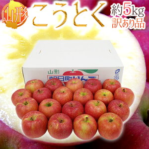 y9/18ISz|CgobN̑`Xz炯 hR`Y Ƃij񂲁h  󂠂 5kg 傫܂y\ 11ȍ~z 