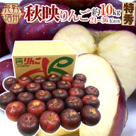 長野産 まっ黒リンゴ ”秋映 あきばえ” 特秀品 24〜36玉前後 約10kg【予約 10月以降】 送料無料