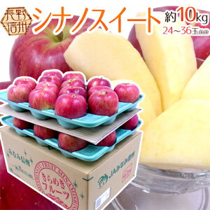 Y hVimXC[gh Gi 24`32 10kg 񂲁y\ 10{ȍ~z 