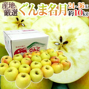 hܖh Gi 24`36 10kg YnI 񂲁y\ 11ȍ~z 