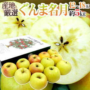 hܖh Gi 12`18 5kg YnI 񂲁y\ 11ȍ~z 