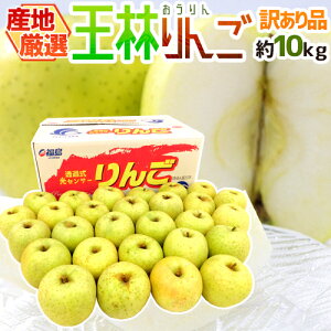 hт񂲁h 󂠂 10kg 傫܂ YnIy\ 10{ȍ~z 