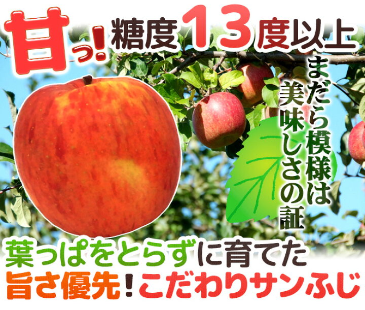 楽天市場】青森産 JAつがる弘前 ”葉とらず太陽ふじりんご” 9〜13玉 約3kg 産地箱 サンふじりんご【予約 12月中旬以降】 送料無料 : くらし快援隊〜お中元お歳暮ギフト 楽天市場】青森産 JAつがる弘前 ”葉とらず太陽ふじりんご” 9〜13玉 約3kg 産地箱 サンふじりんご【予約 12月中旬以降】 送料無料 : くらし快援隊〜お中元お歳暮ギフト