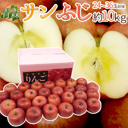 りんご 青森産 10Kgの人気商品・通販・価格比較 - 価格.com