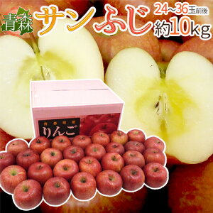 XY hTӂ񂲁h 24`36ʑO 10kg 񂲁y\ 12ȍ~z 