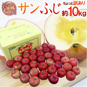 ]hY hTӂh Ɩ󂠂 24`36 10kgy\ 11ȍ~z 