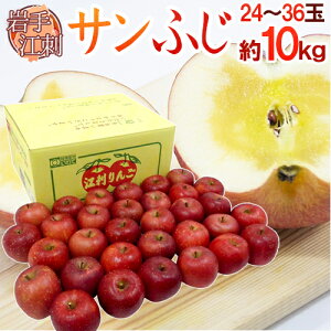 ]hY hTӂh Gi 24`36 10kgy\ 11ȍ~z 