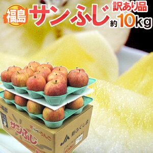 Y hTӂh 󂠂 傫܂ 10kgy\ 11{ȍ~z 