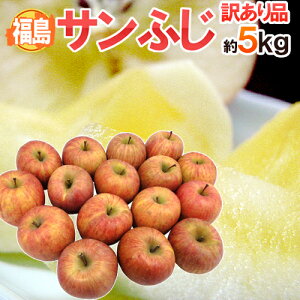 hY Tӂh 󂠂 傫܂ 5kgy\ 11{ȍ~z 