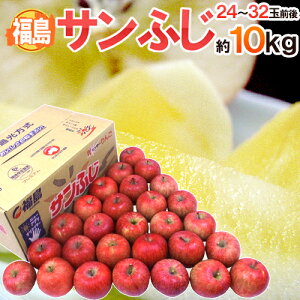 Y hTӂh Gi 24`32 10kgy\ 11{ȍ~z 