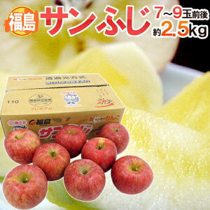 Y hTӂ񂲁h 7`9ʑO Gi 2.5kgs2wőI3w2.5kg܂Ity\ 11{ȍ~z