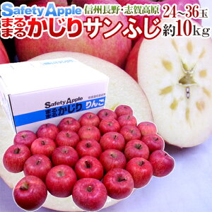 Y h܂܂邩Tӂh Gi 24`36 10kgy\ 11ȍ~z 