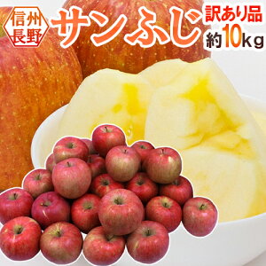 Y hTӂh 10kg 󂠂 傫܂y\ 11{ȍ~z 