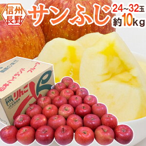 Y hTӂh Gi 24`32 10kgy\ 11{ȍ~z 