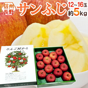 hY Tӂh Gi 12`16 5kg ϔy\ 11{ȍ~z 