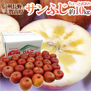 쌧 uꍂY hTӂh 󂠂 10kg 傫܂y\ 11{ȍ~z 