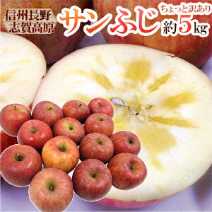 h쌧 uꍂY Tӂh 󂠂 5kg 傫܂y\ 11{ȍ~z 
