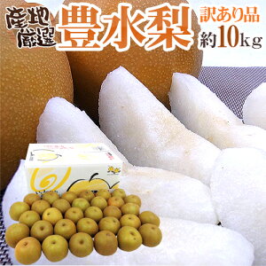 hLh 󂠂 10kg 傫܂ YnIy\ 8{ȍ~z 