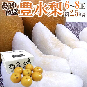 hLh Gi 2L`4L 6`8 2.5kg YnIy\ 8{ȍ~z 