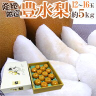 ”豊水梨” 秀品 2L〜4L 12〜16玉 約5kg 化粧箱 産地厳選【予約 8月中下旬以降】 送料無料