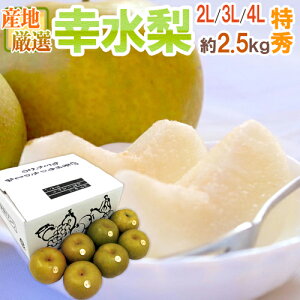 y9/5ISz|CgobN̑`XzhKh Gi 2L`4L 6`8 2.5kg YnI x12xȏy\ 8ȍ~z 