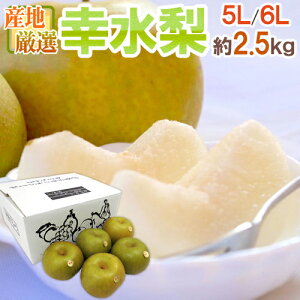 hKh Gi 5L`6L 4`5 2.5kg YnIy\ 8ȍ~z 