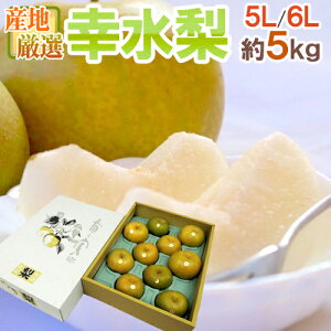 hKh Gi 5L`6L 8`10 5kg YnIy\ 8ȍ~z 