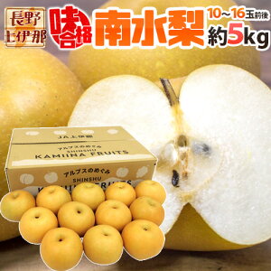 쌧 JAɓ hi 쐅h 10`16ʑO 5kg Giiijy\ 9{`10z 