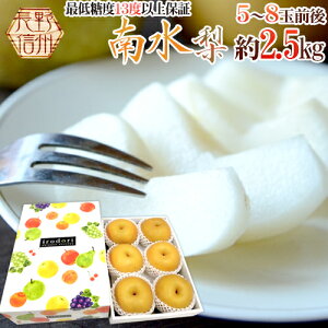 y9/5ISz|CgobN̑`XzhY 쐅h Gi 5`8ʑO 2.5kg ϔy\ 9{ȍ~z 