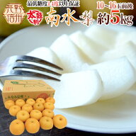 長野産 ”南水梨 太鼓判” 大玉10〜16玉前後 約5kg【予約 9月下旬以降】 送料無料