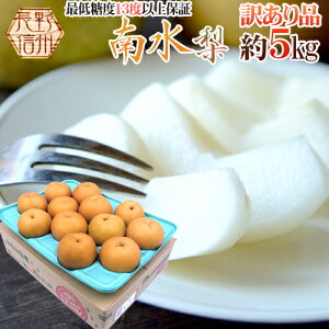 Y h쐅h 󂠂 5kg 傫܂y\ 9{ȍ~z 