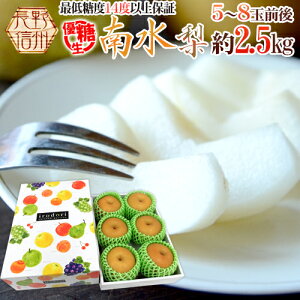 y9/5ISz|CgobN̑`XzhY 쐅 Dh 5`8ʑO 2.5kgy\ 9{ȍ~z 