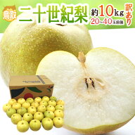 鳥取産 ”二十世紀梨” 訳あり 大玉20〜40玉 約10kg【予約 8月末以降】 送料無料