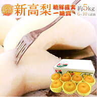 新潟県 ”新高梨” 一糖賞もしくは糖鮮確実（特秀品） 大玉6〜10玉前後 約5kg【予約 10月以降】 送料無料