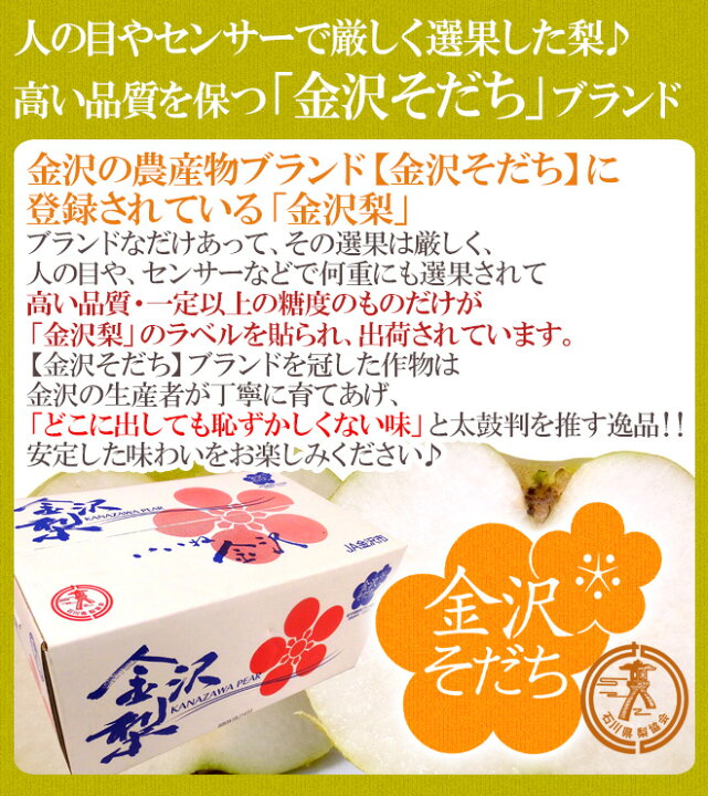 楽天市場 石川県 金沢梨 秀品 約10kg 大きさおまかせ 予約 8月末以降 送料無料 くらし快援隊 お中元お歳暮ギフト