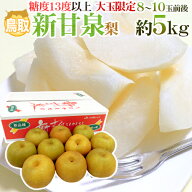 鳥取産 ”新甘泉（しんかんせん）梨” 秀品 超大玉8〜10玉前後 約5kg【予約 8月下旬以降】 送料無料