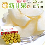 鳥取産 ”新甘泉（しんかんせん）梨” 秀品 20玉前後 約5kg【予約 8月下旬以降】 送料無料