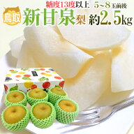 鳥取産 ”新甘泉（しんかんせん）梨” 秀品 大玉5〜8玉前後 風袋込約2.5kg 化粧箱【予約 8月下旬以降】 …