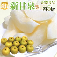”鳥取産 新甘泉（しんかんせん）梨” 訳あり 約5kg 大きさおまかせ【予約 8月下旬以降】 送料無料