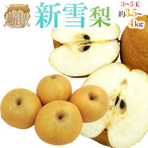 h挧 Vᗜh Gi 3`5ʑO 3.5`4kgy\ 12{ȍ~z 