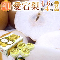 岡山産 ”愛宕梨” 秀品 超大玉4〜6玉前後 約4kg 化粧箱 あたご梨【予約 11月末以降】 送料無料