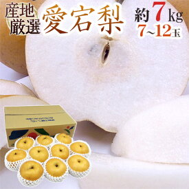 ”愛宕梨” 秀品 超大玉7〜12玉前後 約7kg 産地厳選 あたご梨【予約 11月末以降】 送料無料