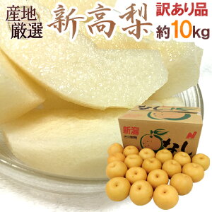 hVh 󂠂 10kg 傫܂ YnIy\ 10ȍ~z 