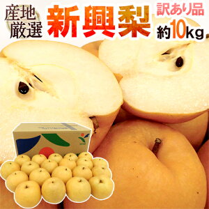 hVh 󂠂 10kg 傫܂ YnIy\ 10{ȍ~z 
