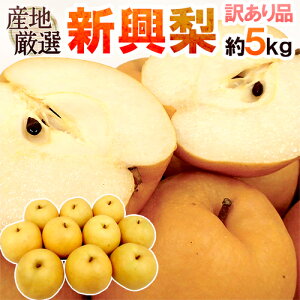 hVh 󂠂 5kg 傫܂ YnIy\ 10{ȍ~z 