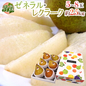 hXY [lN[Nh Gi 5`8 2.5kg ϔ my\ 11ȍ~z 