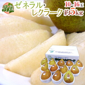 XY h[lN[Nh Gi 10`16 5kg my\ 11ȍ~z 