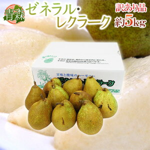 XY h[lEN[Nh 󂠂 5kg 傫܂ my\ ׎攭z 